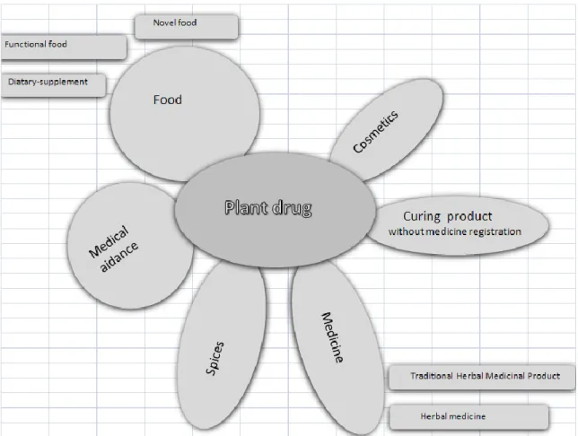 1.5. ábra A gyógy- és aromanövényekből előállított fontosabb termékcsoportok spektruma a hazai  piacon 