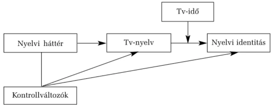 1. ábra. A kétnyelvû tv-használat kultivációs modellje Tv-idõ