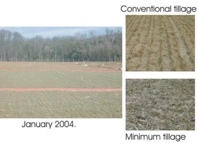 Figure  40.  Conservationagriculture  is  morefavourable  from  the  perspective  of  soil,  environment  and  ecology