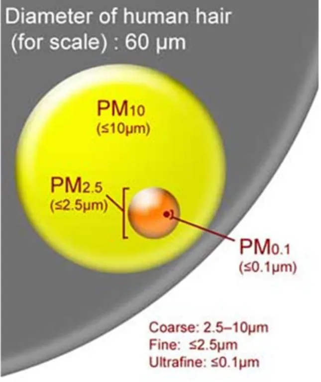 6.2. táblázat - PM10 határértékek összehasonlítása
