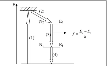 1.4.2. ábra: A lézerek négy energiaszintje és a négy elemi energiaátadó lépés 