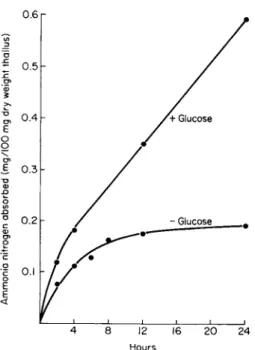 FIG . 1. Ammonia absorption by Peltigera polydactyla thallus in 5 mM  N H 4  CI with and with- with-out 14 mM glucose