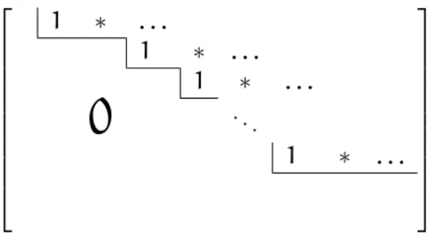 Figure 3: A row-reduced form matrix