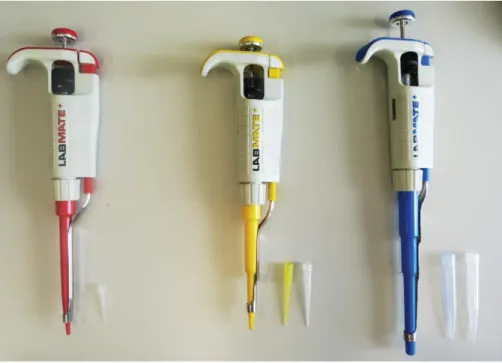 Figure 1.1 Example of a set of micropipettes. Each pipette serves to measure in  different volume range