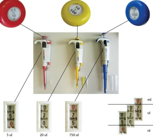 Figure 1.3 Examples of setting volume indicators on pipettes used in different  volume ranges