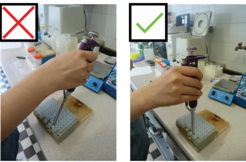 Figure 1.4 Applying tips on the pipette. Hold the pipette vertically and fix the tip on  the tip cone