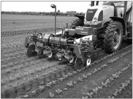 6. ábra: Zellert kapáló gép egy öko-gazdaságban (Fotó:Borsiczky I.) Fig. 6.: Howing machine in an eco-farming in celery crop (Photo: I