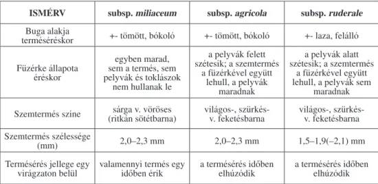 1. táblázat: A Panicum miliaceum-alakkör hazai képviselôinek legfontosabb ismérvei Table 1: Most important characters of Hungarian representatives  