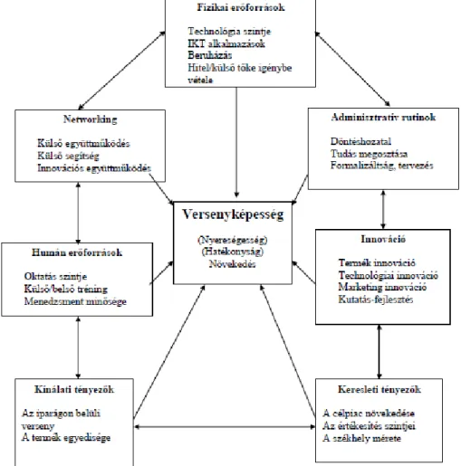 9. ábra: A versenyképesség 7 pillérje  Forrás: Szerb (2010) 