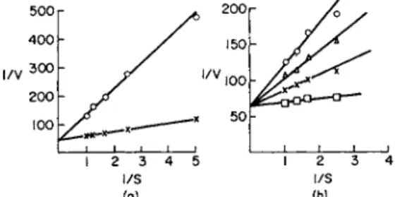 FIG. 10. a, Lineweaver-Burk (1934) plot of the competitive inhibition of  acid phosphatase activity by sodium molybdate