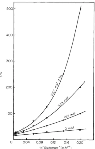 FIG. 7. Double reciprocal rate-concentration plot of a-ketoglutarate  ( « - K G ) in­