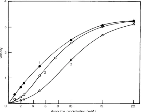FIG. 1. Dependence of reaction rate on aspartate concentration at  p H 7.0. 