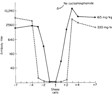 FIG. 2. Relationship of the times of antigen (sheep cells) and cyclophosphamide  injection