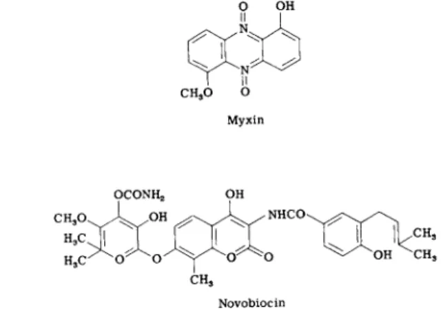 FIG. 9. Possible inhibitors of  D N A replication. 