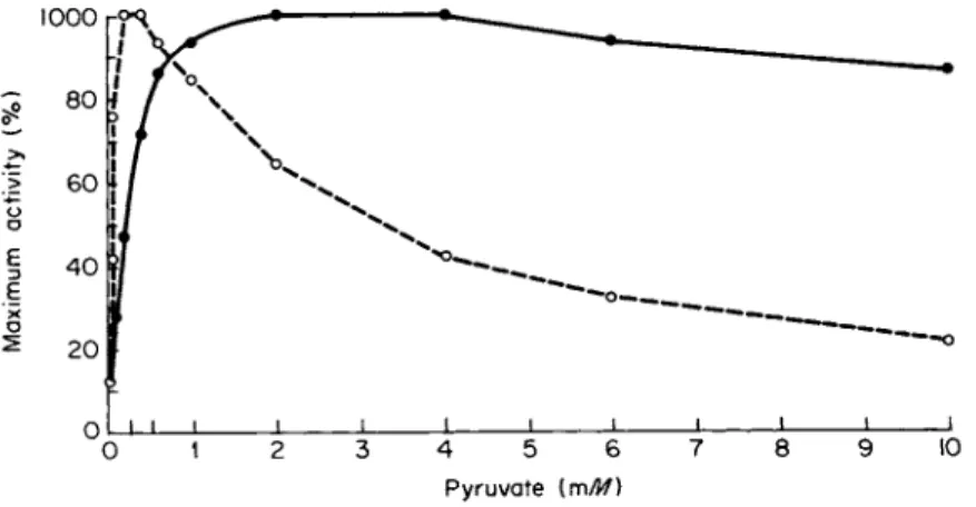 FIG. 5. Differential inhibition of human heart LDH-1 (O) and skeletal muscle  LDH-5  ( · ) by pyruvate at  2 5 ° C 