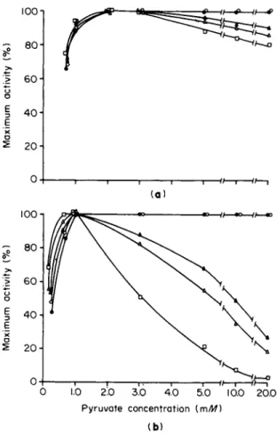 FIG. 8. Effect of increasing pyruvate concentration on the activity at 25°C of  several concentrations of (a) LDH-5 and (b) LDH-1 purified from rat kidney