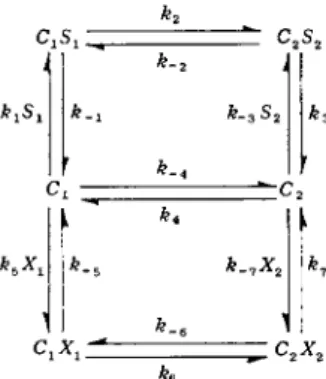 FIG. 4. Monovalent carrier mechanism for transport of two different solutes  ( S and  X )  by the same carrier