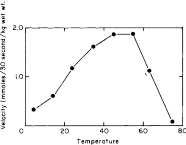 FIG. 4. Temperature dependence of leucine uptake in Escherichia coli K12. The uptake  of uniformly labeled L-leucine (27 μΜ) was measured as described in the legend of Fig