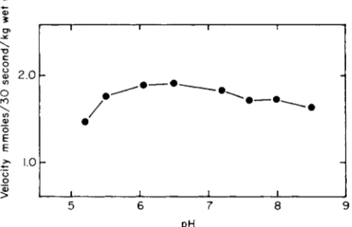 FIG. 5. pH dependence of isoleucine uptake into Escherichia coli K12 cells. The uptake  of uniformly labeled L-isoleucine (14 μΜ) was measured as described in the legend to  Fig