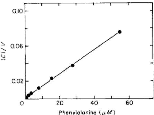 FIG. 7. Reciprocal plot of the concentration dependence of phenylalanine uptake. Up­