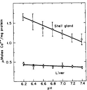 FIG. 8. Effect of pH on the uptake of calcium by isolated mitochondria from the shell  gland and liver of the laying hen