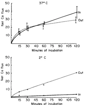FIG. 2. The effect of temperature on the influx and efflux of calcium from isolated bone  cells (in mM/kg cells)