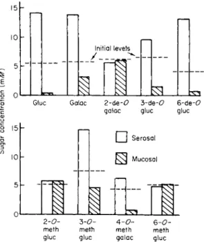 FIG. 6. Example of specificity study of active sugar transport by hamster gut everted  sacs