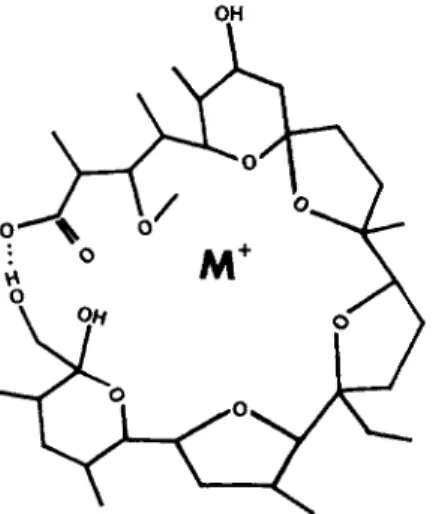 FIG. 4. Monensin-M +  complex according FIG. 5. Nigericin-M +  complex according  to the model of Sleinrauf et al