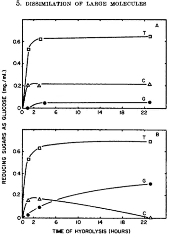 FIG. 2. Appearance of glucose and cellobiose during hydrolysis of cellulose sulfate  by a filtrate of Trichoderma viride