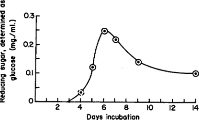 FIG. 4. The production of extracellular chitinase by Streptomyces sp. strain C-10  in submerged agitated culture in a chitin-mineral salts medium