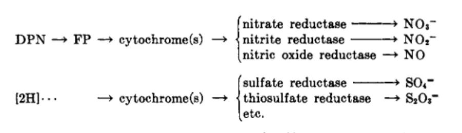 FIG. 6. Reduction of inorganic nitrogen and sulfur compounds. The true sub­