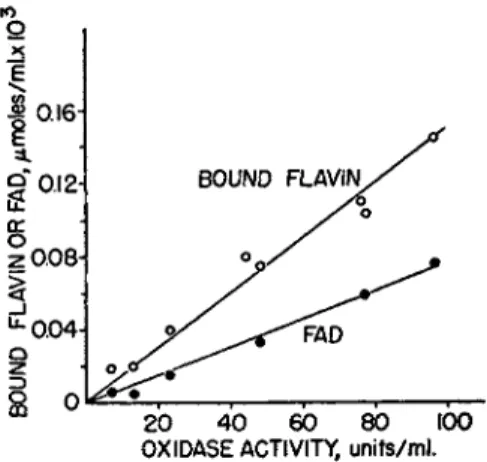FIG. 2.  D P N H oxidase, Clostridium perfringens. Relation between  D P N H oxidase  activity and flavin content of the purified enzyme (text)