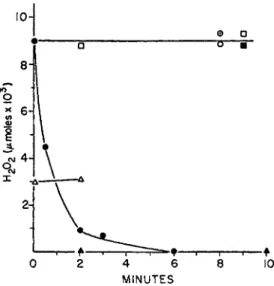 FIG. 1. Difference in role of  H 2 0 2  in  D P N H oxidase systems of Streptococcus fae­