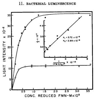 FIG. 4. The relationship between light intensity and reduced FMN concentration  (McElroy and Green 1 1 )