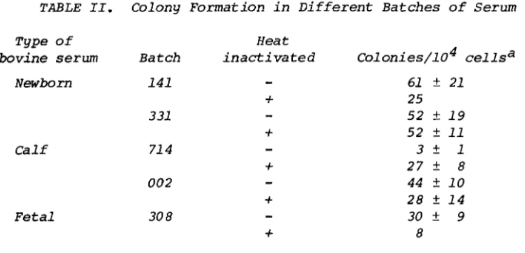 TABLE II. Colony Formation in Different Batches of Serum  Type  bovine  of  serum  Newborn  Calf  Fetal  Batch 141 331 714 002 308  Heat  inactivated -+ + + +  +  Colonies/10 4  &lt; 61 ± 21 25 52 ± 19 52 ± 11 3 ± 1 27 ± 8 44 ± 10 28 ± 14 30 ± 9  8  Result