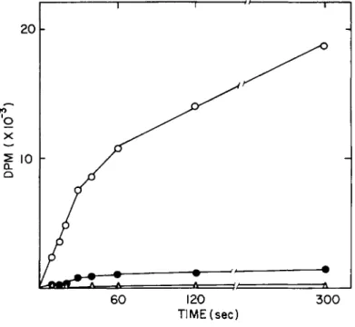 Fig. 1. Time dependence of phenylalanine uptake (total  radiolabel). Phenylalanine uptake by 3  x  10$ macrophages was  measured at external phenylalanine concentrations of 20 yM (ο) ,  1000 \iM ( · ) and 20,000 \xM (à)