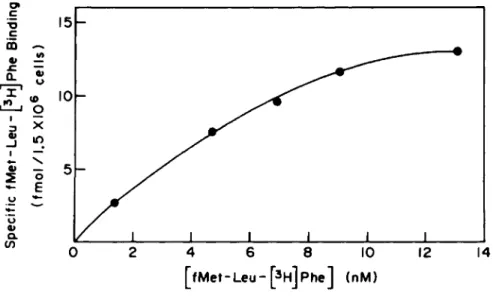 Fig. 2. Specific binding of fMet-Leu-[ 3 H]Phe to inflam- inflam-matory macrophages as a function of fMet-Leu-[ 3 H]Phe 