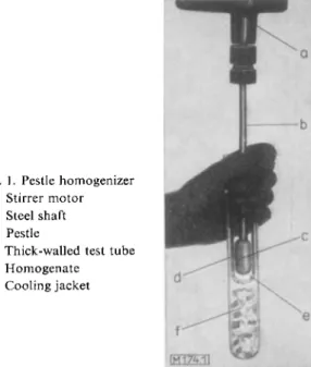 Fig. 1. Pestle homogenizer  a: Stirrer motor  b : Steel shaft  c: Pestle 