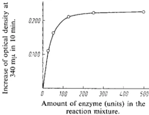Fig. 1. Relation between the rate of the reaction and  the concentration of yeast aldehyde dehydrogenase
