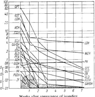 Fig. 4. Enzyme activity (curves and inner ordinate) and bilirubin level (shaded area and outer ordinate)  in serum in acute hepatitis