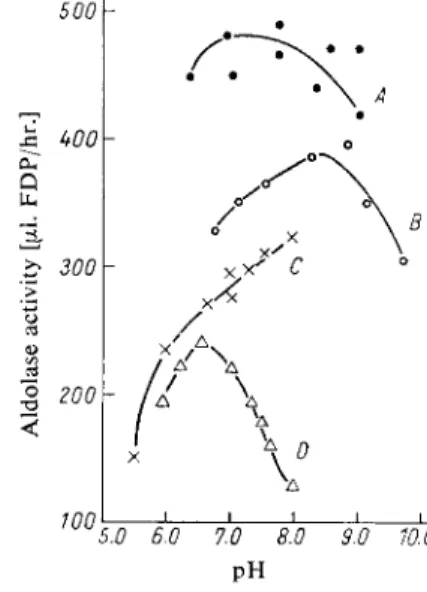 Fig. 1. pH-Activity curves for aldolase  (human haemolysate 1 :10). Final concen­