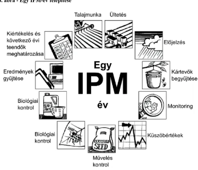 4.6. ábra - Egy IPM-év felépítése