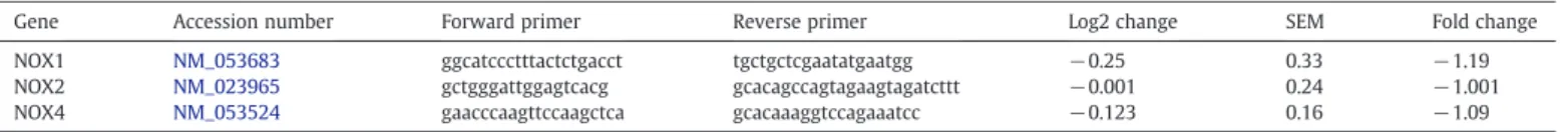 Fig. 4. Demonstration of the direct binding of rat microRNA-25 to human NOX4 3′ UTR (A) using HEK293 cells