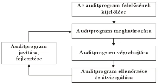 6.3. ábra: Az auditprogram irányításának feladatai