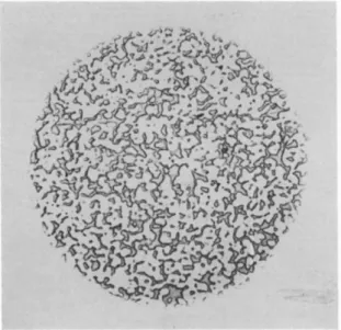 FIG.  6 . Microstructure of sintered copper-lead  ( 3 0 % lead, χ  1 0 0 ) . 