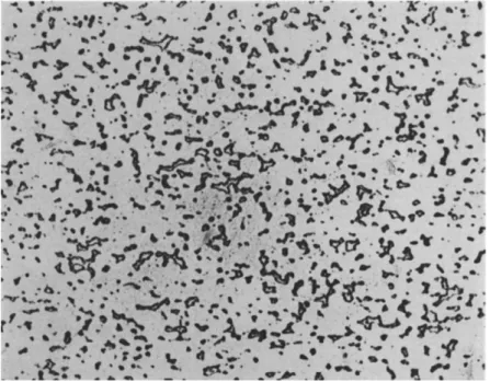 FIG.  1 3 . Microstructure of aluminum-20% tin alloy, cold-worked and annealed  ( X 1 5 0 ) 