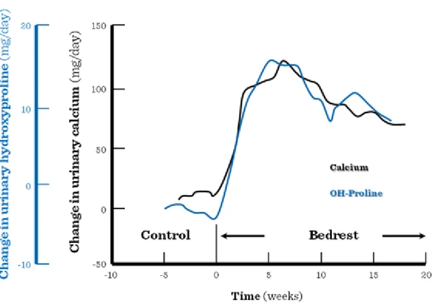 Figure I.4-2: Urinary loss of calcium and hydroxy-proline during chronic immobilization