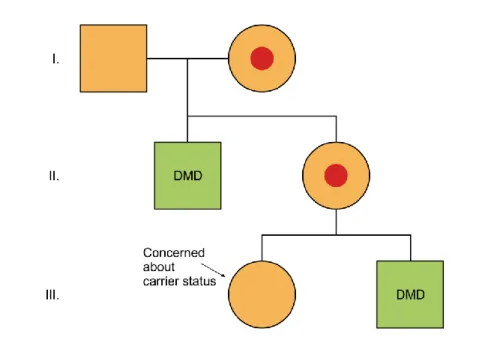 Figure 6.3. The family tree of a genetic disease inherited in X chromosome  recessive way 
