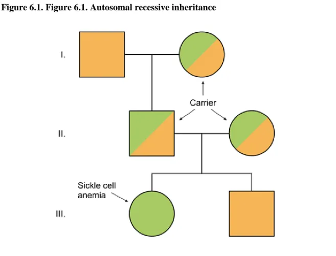 Figure 6.1. Figure 6.1. Autosomal recessive inheritance