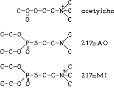 Figure 6A is  t a k e n from Mclsaac and Koelle (45a, 56). Cats were treated with  two potent irreversible anticholinesterase agents